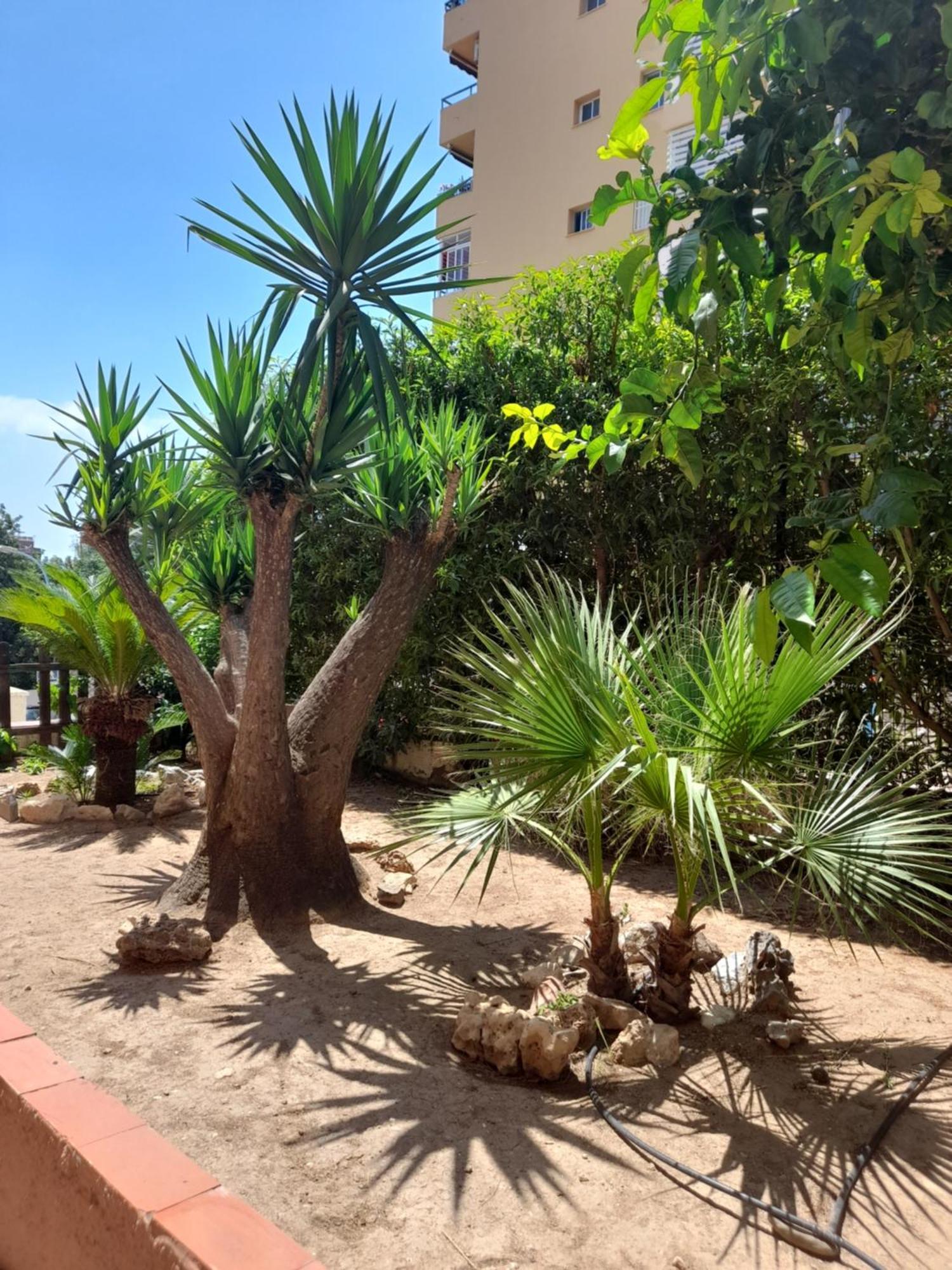 Torremolinos Centro Beach Apartman Kültér fotó
